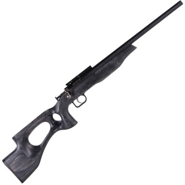 R41 Crickett EX Thumb Hole Stock Blued Black Laminate Bolt Action Rifle - 22 Long Rifle