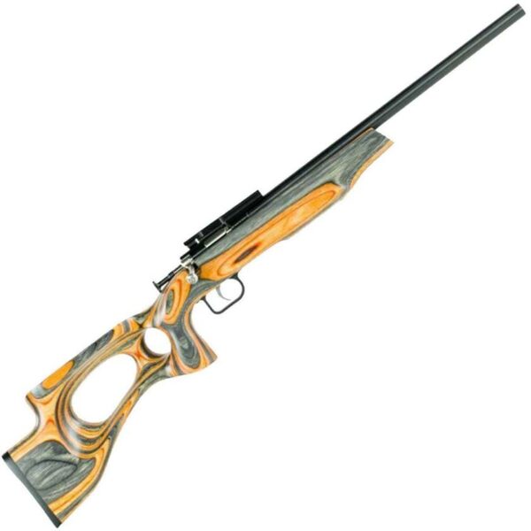 R43 Crickett Target Model Bolt Action Rifle