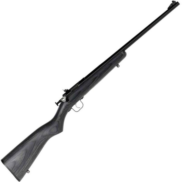 Crickett Black Laminate Stock Blued Compact Rifle
